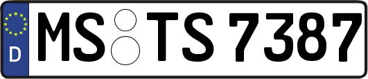 MS-TS7387