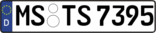 MS-TS7395