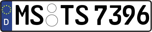 MS-TS7396