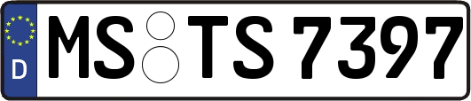 MS-TS7397