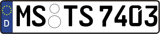 MS-TS7403