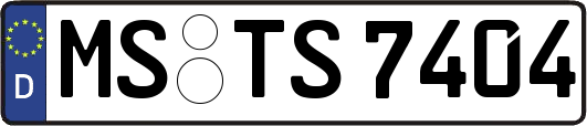 MS-TS7404
