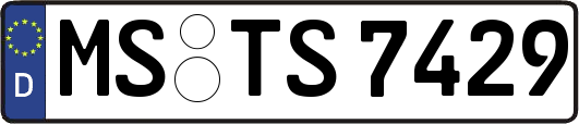 MS-TS7429
