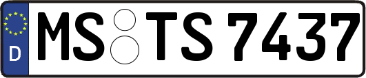 MS-TS7437
