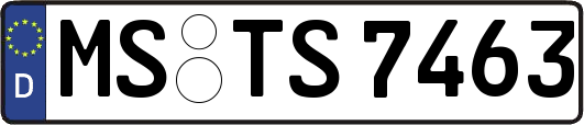 MS-TS7463