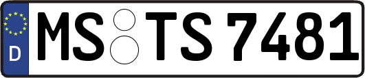 MS-TS7481