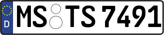 MS-TS7491