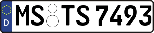 MS-TS7493