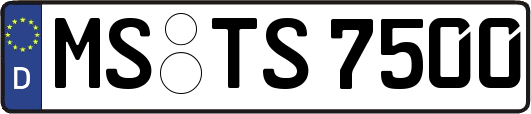 MS-TS7500