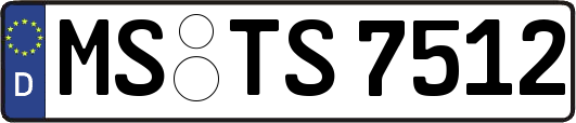 MS-TS7512
