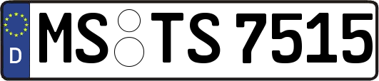 MS-TS7515