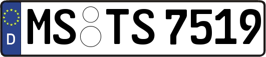 MS-TS7519