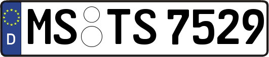 MS-TS7529