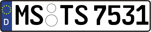 MS-TS7531