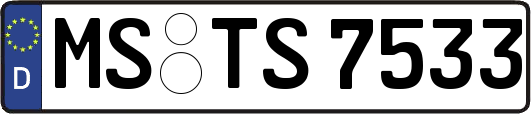 MS-TS7533