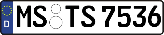 MS-TS7536
