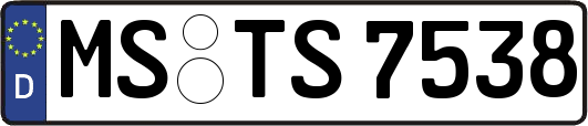 MS-TS7538