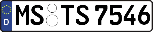 MS-TS7546