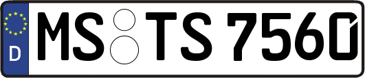 MS-TS7560
