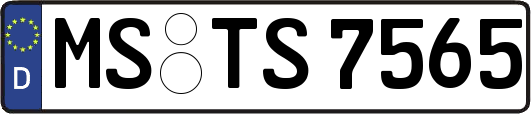 MS-TS7565