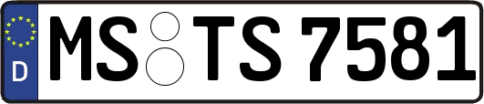 MS-TS7581