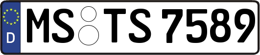 MS-TS7589