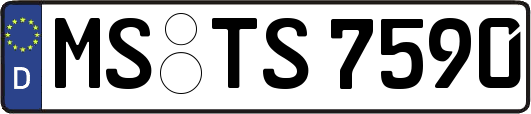 MS-TS7590