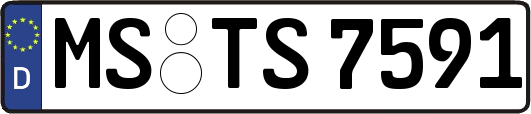 MS-TS7591