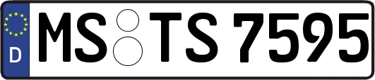 MS-TS7595