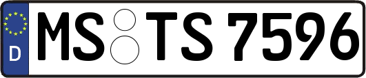 MS-TS7596