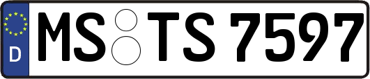 MS-TS7597