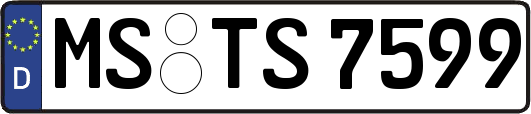 MS-TS7599