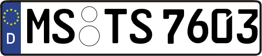 MS-TS7603