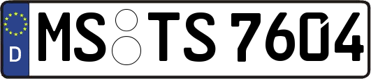 MS-TS7604