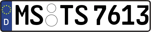 MS-TS7613