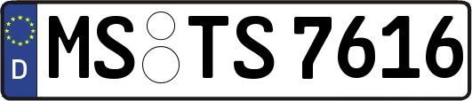 MS-TS7616