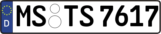 MS-TS7617