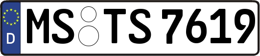 MS-TS7619