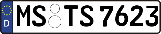 MS-TS7623
