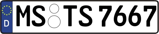 MS-TS7667