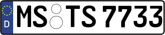 MS-TS7733