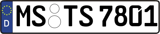 MS-TS7801
