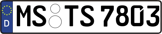 MS-TS7803