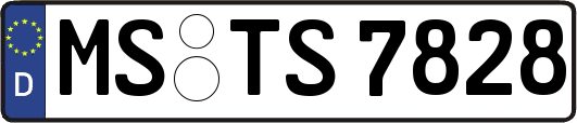 MS-TS7828