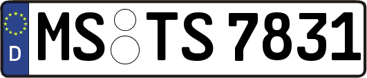 MS-TS7831