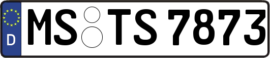 MS-TS7873