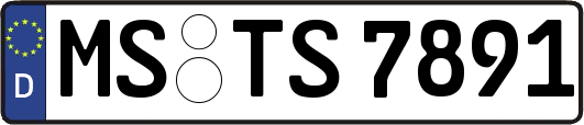 MS-TS7891