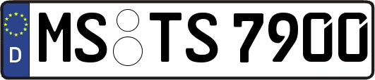 MS-TS7900
