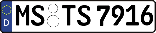 MS-TS7916