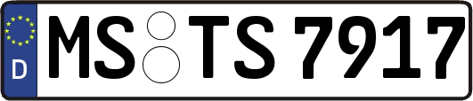 MS-TS7917